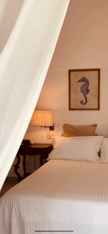 Marunnella Suites 卡普里 外观 照片
