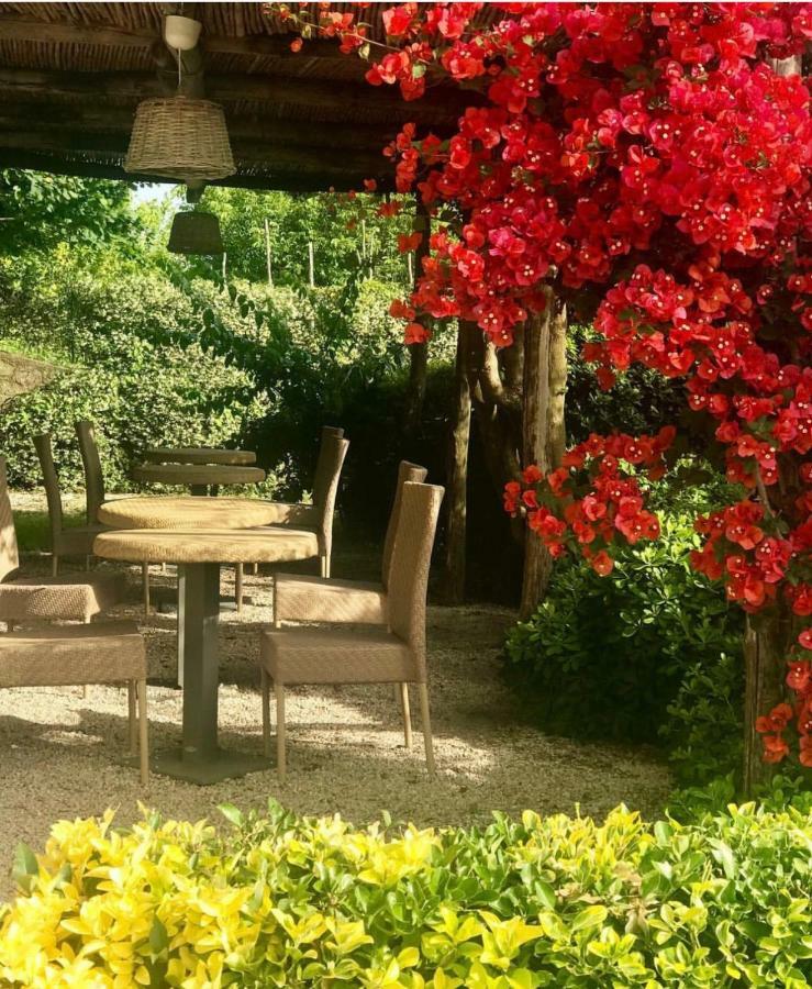 Marunnella Suites 卡普里 外观 照片
